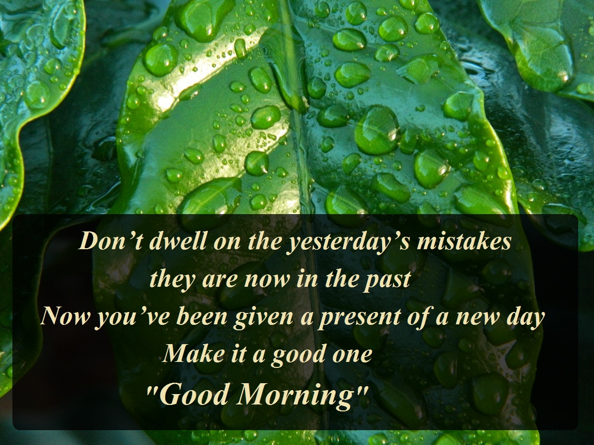 Download Top Best Good Morning Message With Images Kuch Khas Tech