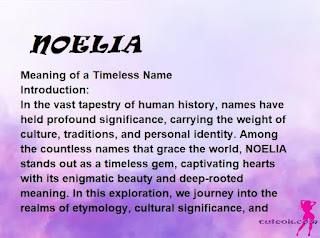 meaning of the name "NOELIA"