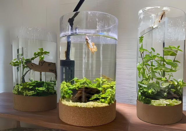 Aquarium mini