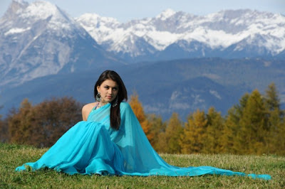 hansika motwani saree photo gallery