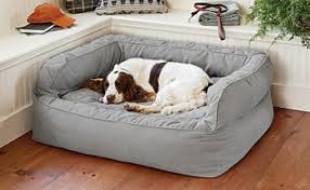 Comprar camas para perros grandes para ese cuidado especial adicional