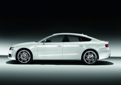 2010 Audi S5 Sportback Side View