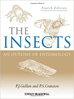 The Insects: An Outline of Entomology, 4th Edition