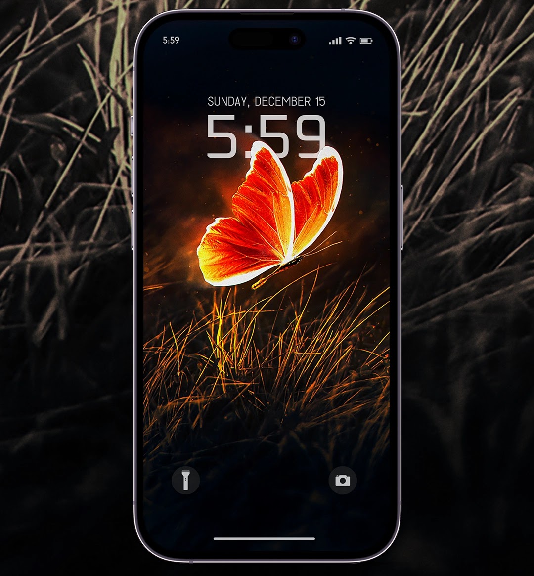 Beautiful butterfly wallpaper for iOS and Android phones.