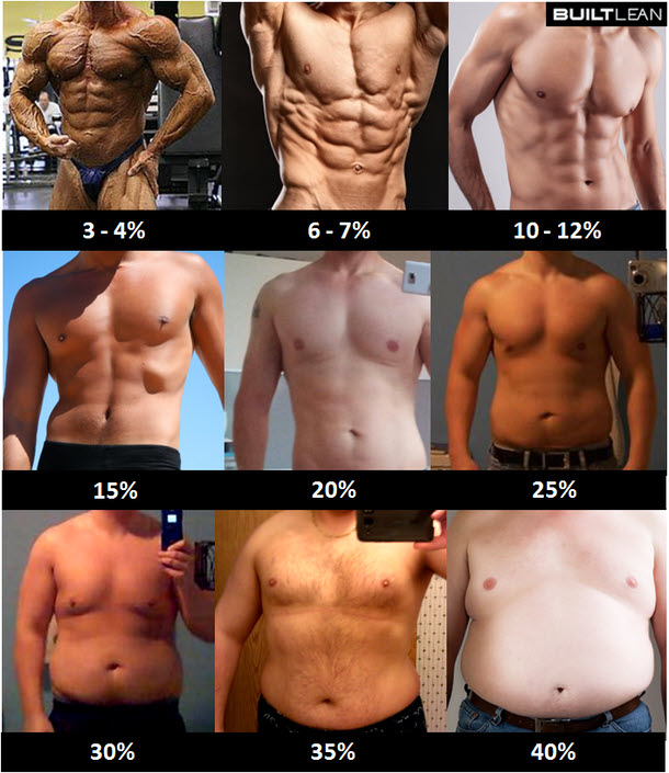 body fat percentage chart athlean x