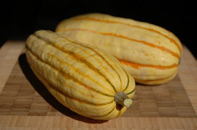 Photo of two delicata squash from the farmers' market.