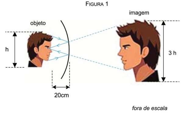 Figura 1