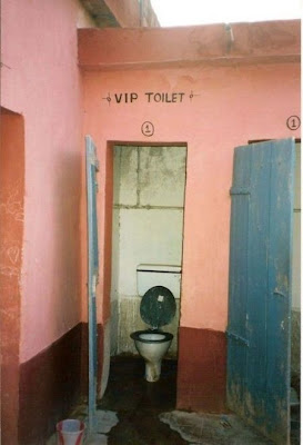 unusual toilets