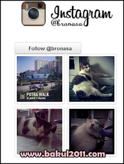 Pasang widget instagram dalam blog