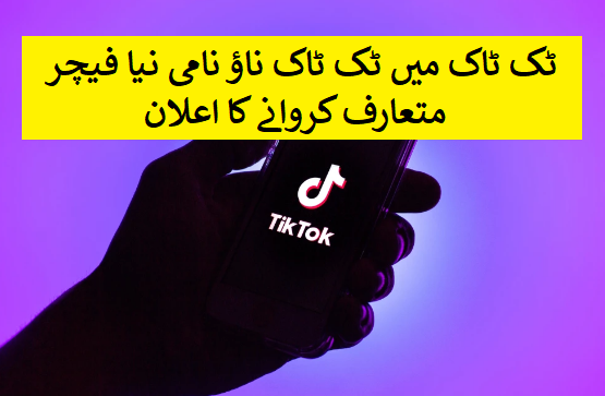 Tiktok to launch new features 2022