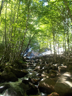 Vallée-Bras-du-Nord, cascade, forêt, paysage, l'été