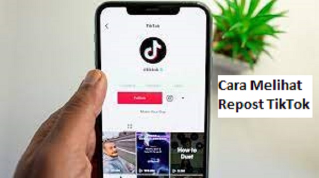 Cara Melihat Repost TikTok