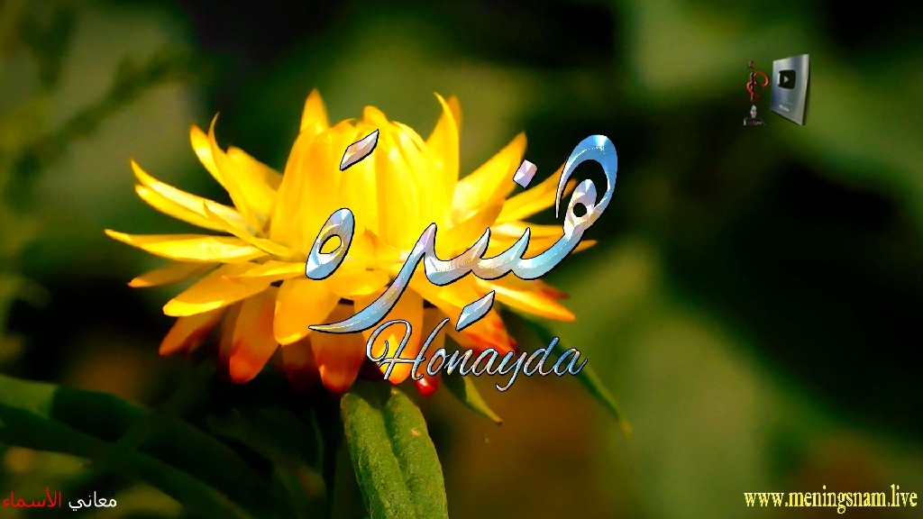 معنى اسم, هنيدة, وصفات, حاملة, هذا الاسم, Hunaida,