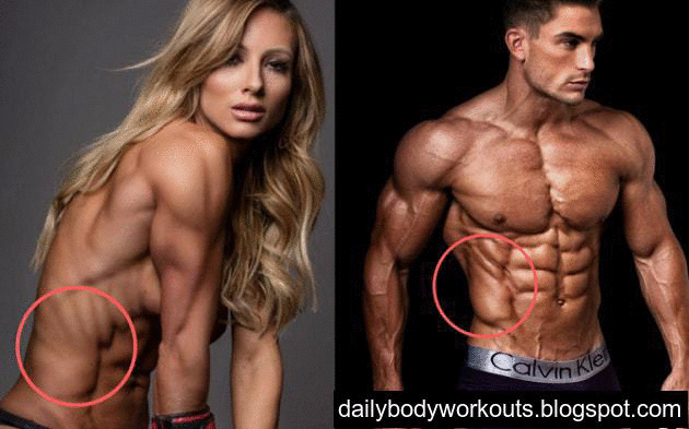 best abs workout for bodybuilding, 