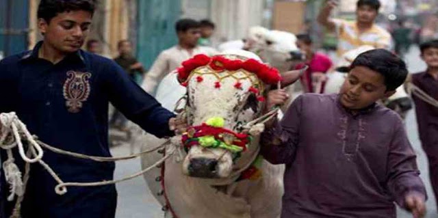 Which of these festivals is called Eid of Sacrifice?