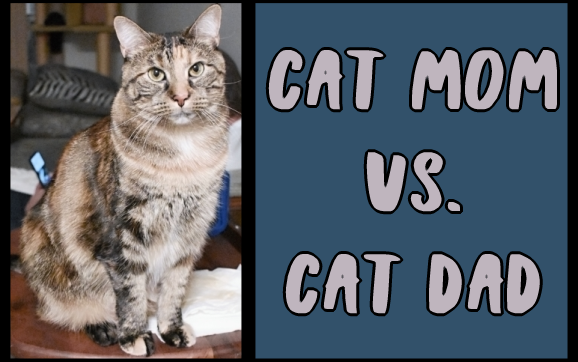Cat Mom vs. Cat Dad
