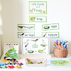 Life Cycle of a Frog Learning Activities