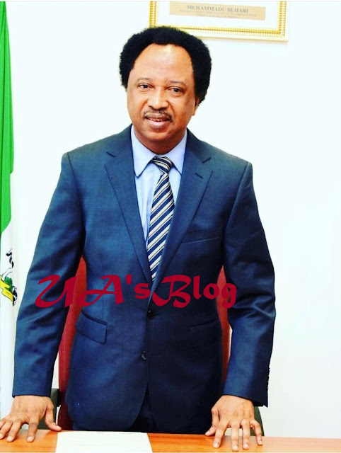 Atiku vs Buhari: Shehu Sani reacts to service chiefs’ attendance of APC ‘Next Level’ campaign launch