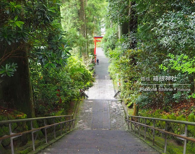 箱根神社：正参道