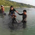 Photo of Whale Shark used as "Surfboard" outrages netizenz.