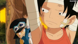 ワンピースアニメ 幼少期 495話 エース サボ | ONE PIECE Episode 495