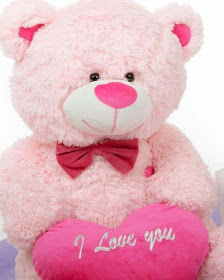 light-pink-teddy-cute-images