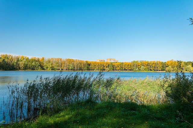Осень на Светлоярском озере