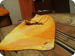 HPIM3582_medium2