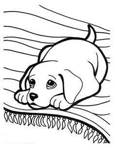 20 little dog coloring pages! Ideas in 2021 | Coloring pages, coloring books