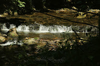 Olšinka/The Olšinka River