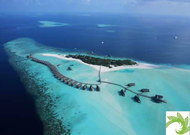 http://www.maldives.com.au/maldives