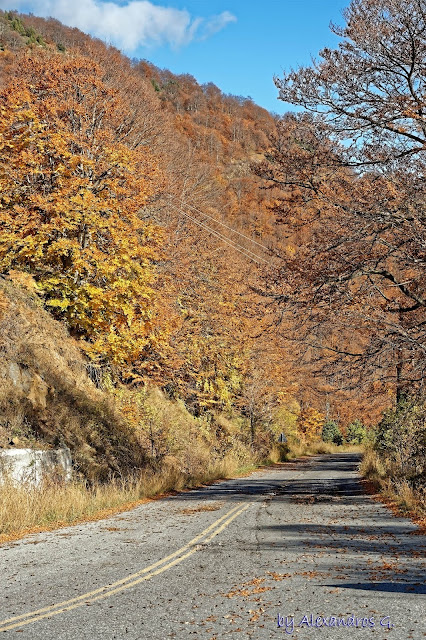 Autumn Colors (@Kaimaktsalan) - Χρώματα Φθινόπωρου (Καϊμακτσαλάν)