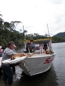 FDS Ecãologico 4 (531)