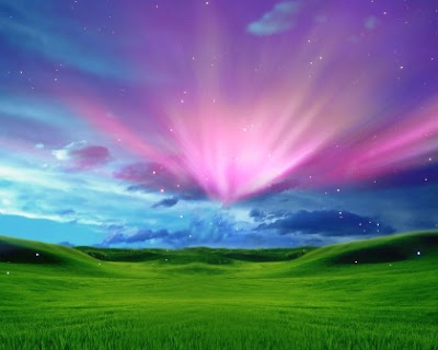 Windows Computer on Free Windows Xp Wallpapers  Download Windows Xp Desktop Backgrounds