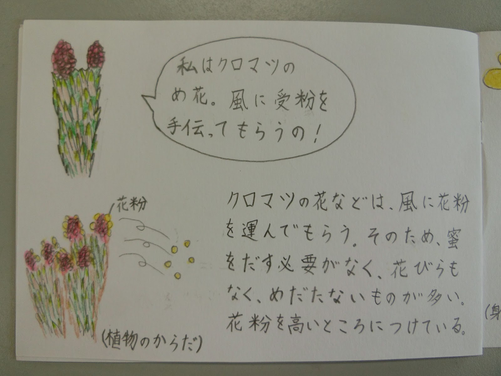 板書ノート 植物の花と結実