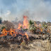 PROTECCIÓN CIVIL DE HUAMANTLA APOYA EN COMBATE DE INCENDIO EN LIMITES CON TERRANTE