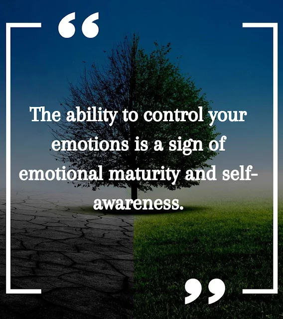 Emotional You Feelings Are Valid Quotes