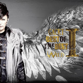 GACKT - Best Of The Best vol.1 -Mild-/Best Of The Best vol.1 -Wild-