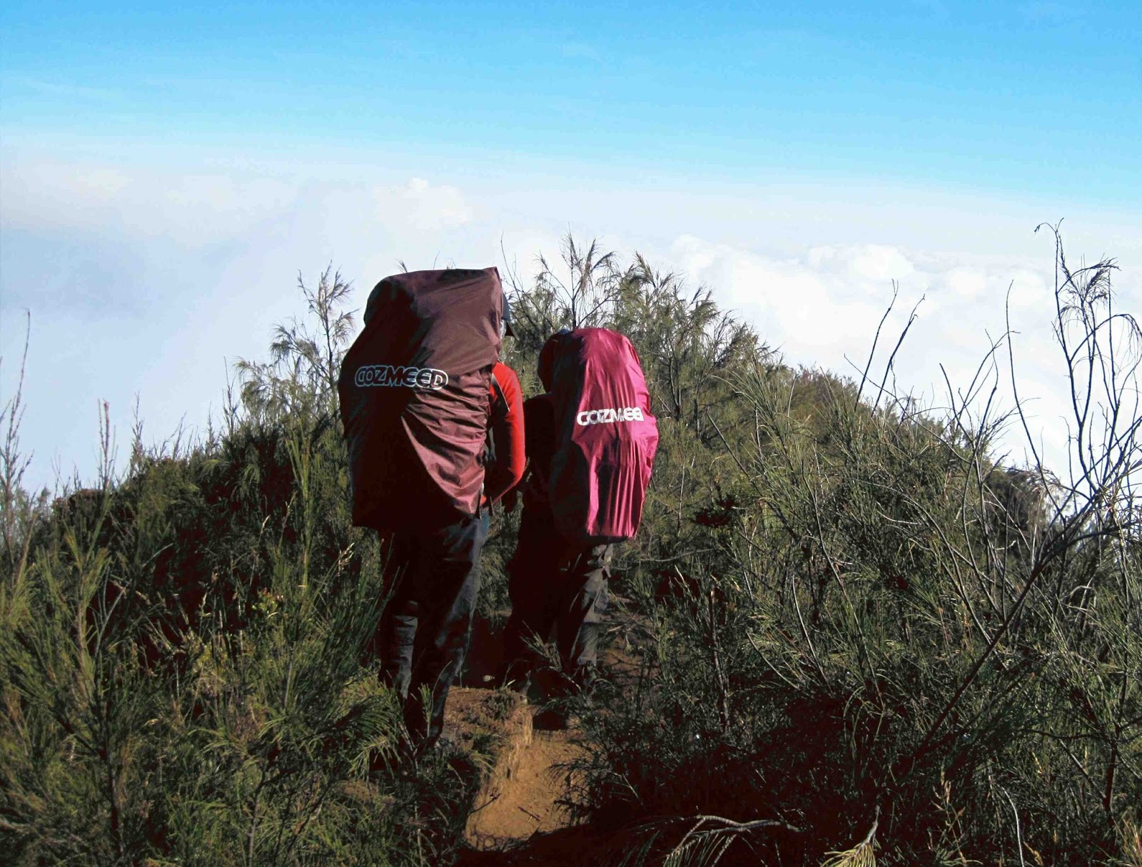 Pendakian Gunung Arjuno, Turun Via Tretes (Part III 