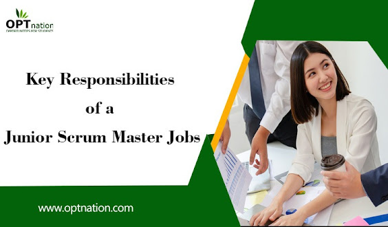 Junior Scrum Master Jobs