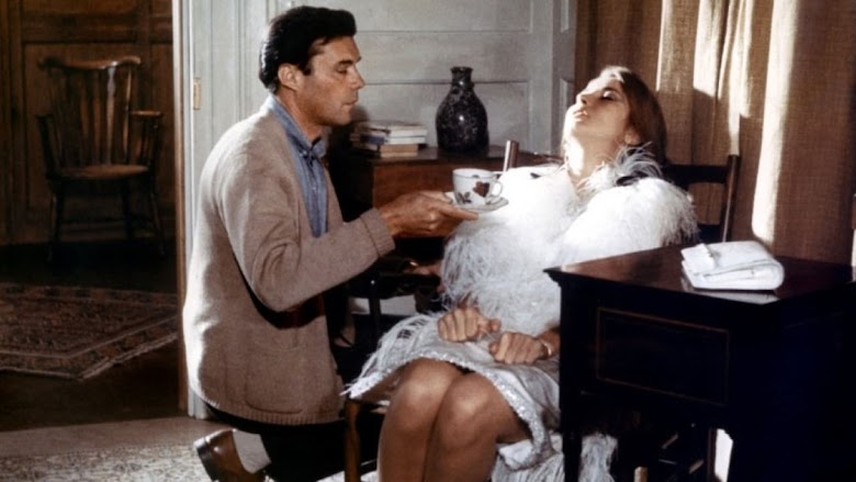 Accidente 1967 dvd full latino mega