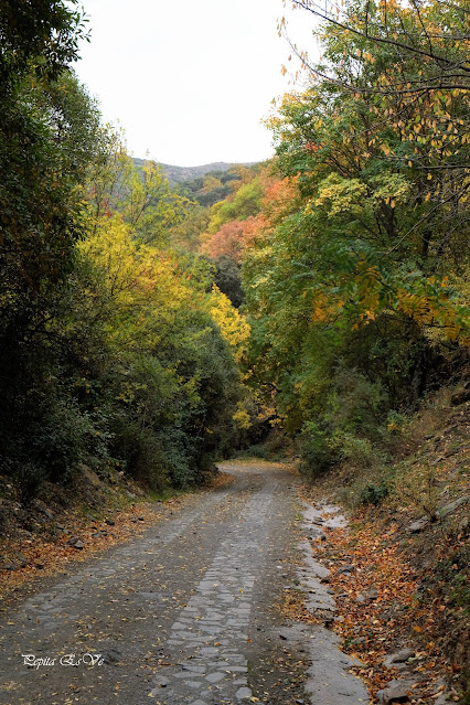 Horcajo del Camarate, Dehesa del Camarate,  Camarate, Bosque encantado,  Lugros