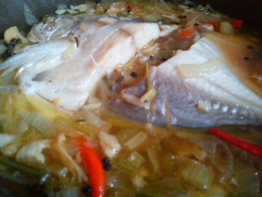 Dapur molly: IKAN BAWAL STIM "STAIL MOLLY"