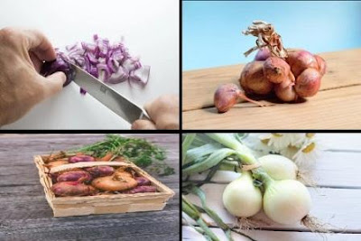 ONIONS FOR WEIGHT LOSS | ONION BENEFITS