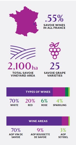 Savoie wine region in France