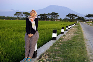 jalan pagi di sawah