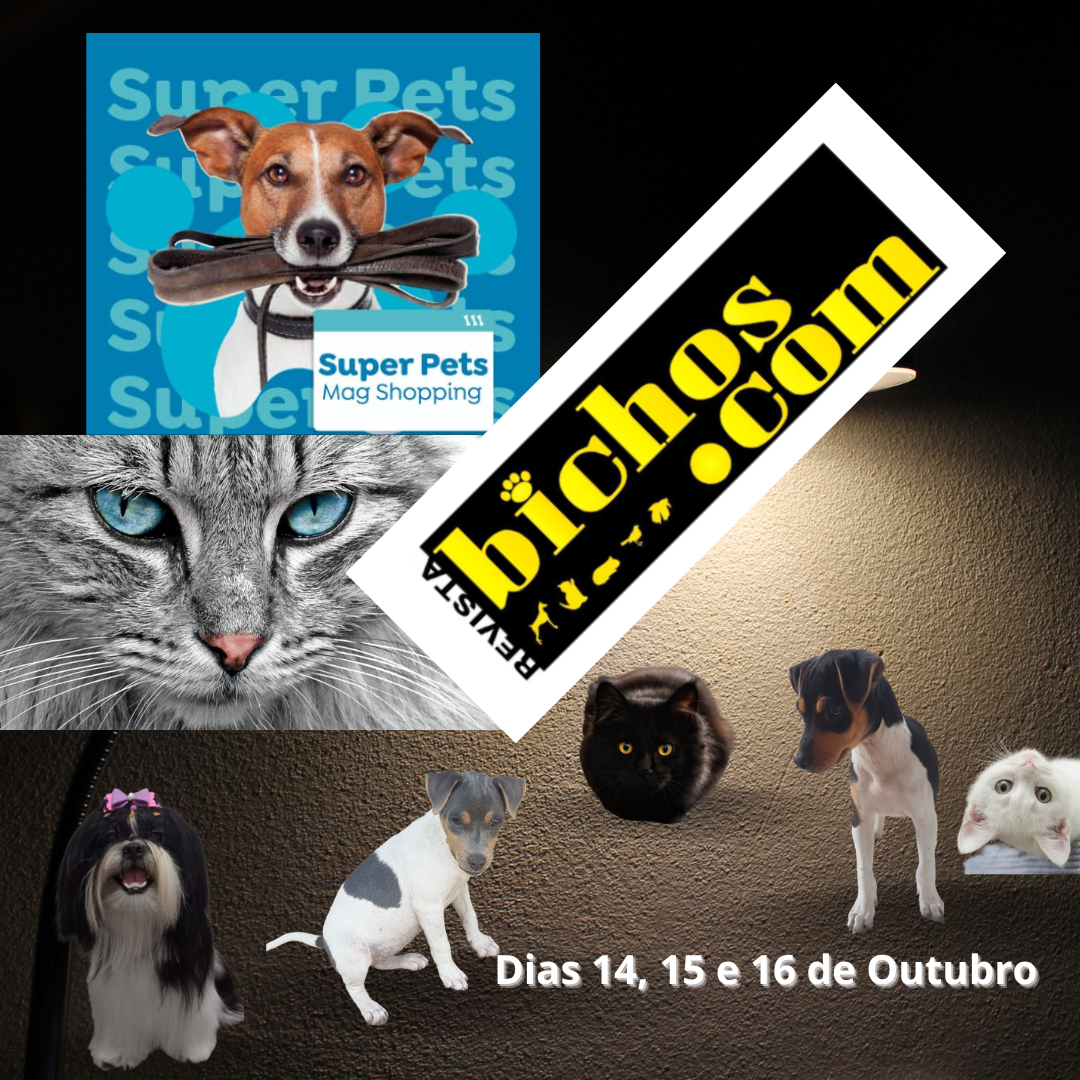 Revista - Meu Pet Nº 25 Jogos Mentais para o Gato - Higino Cultural