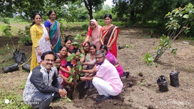  प्रियदर्शिनी ग्रामीण बिगरशेती महिला सहकारी पतसंस्थेचा केरवाडी येथे वृक्षारोपण 