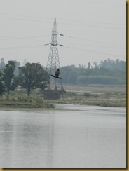 DSCN3864