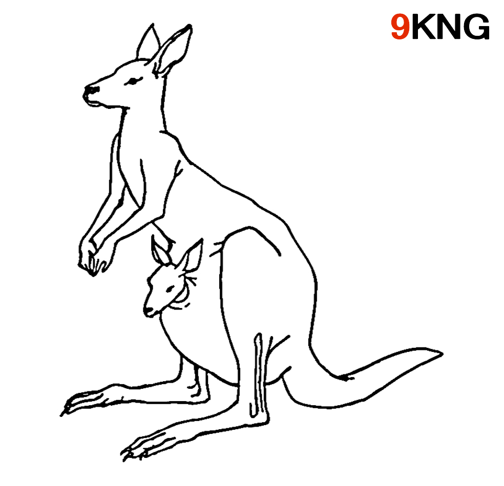 Ausmalbilder Känguru zum Ausdrucken Kostenlos PDF - 9KNG